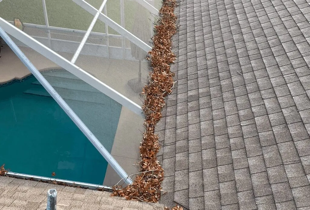 Gutter Cleaning project before professional cleaning by Wash and Go