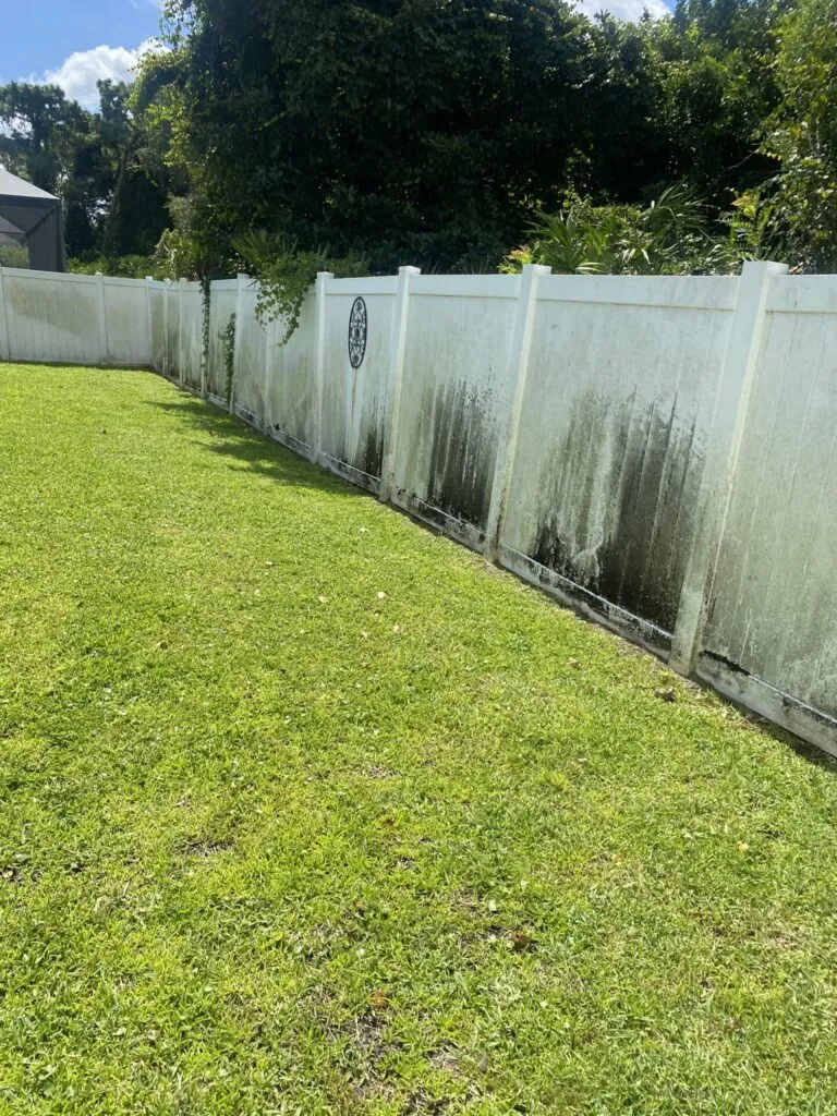 Pressure Washing project photo 27 by Wash and Go