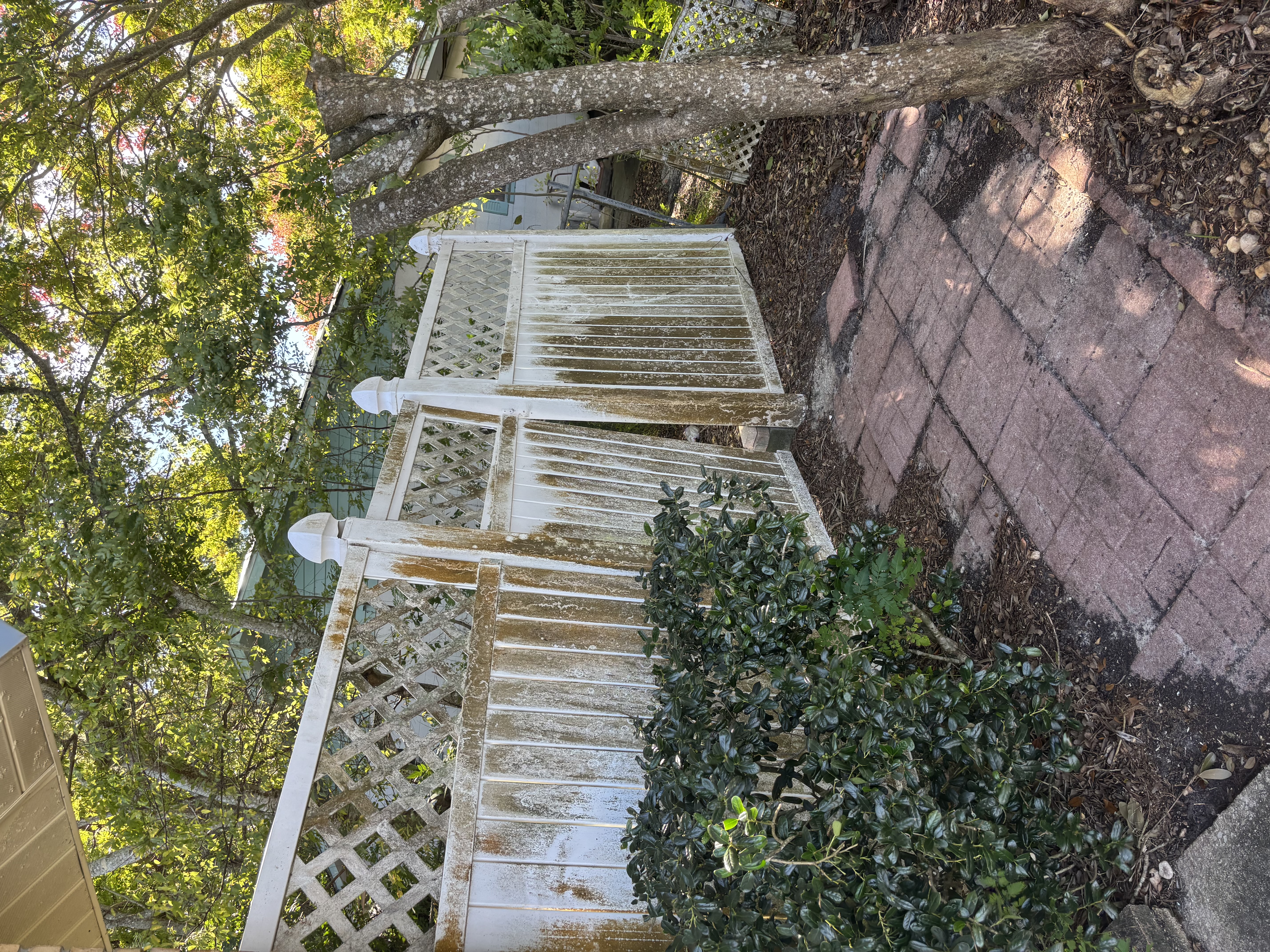 Pressure Washing project photo 38 by Wash and Go