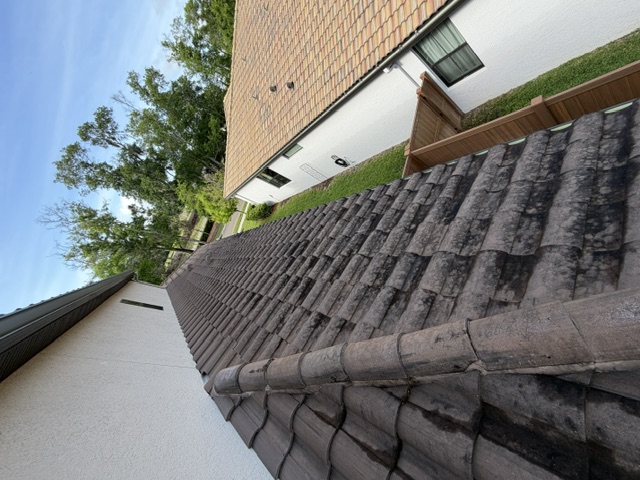 Roof Cleaning project photo 9 by Wash and Go