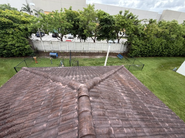 Roof Cleaning project photo 7 by Wash and Go