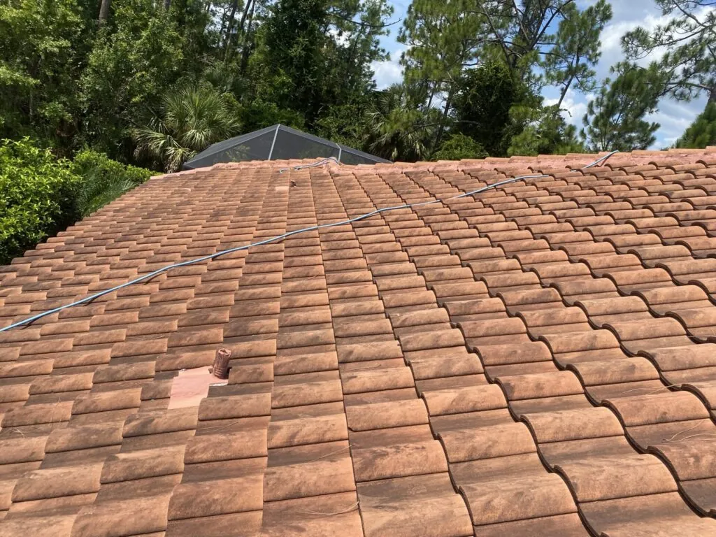 Roof Cleaning project photo 21 by Wash and Go