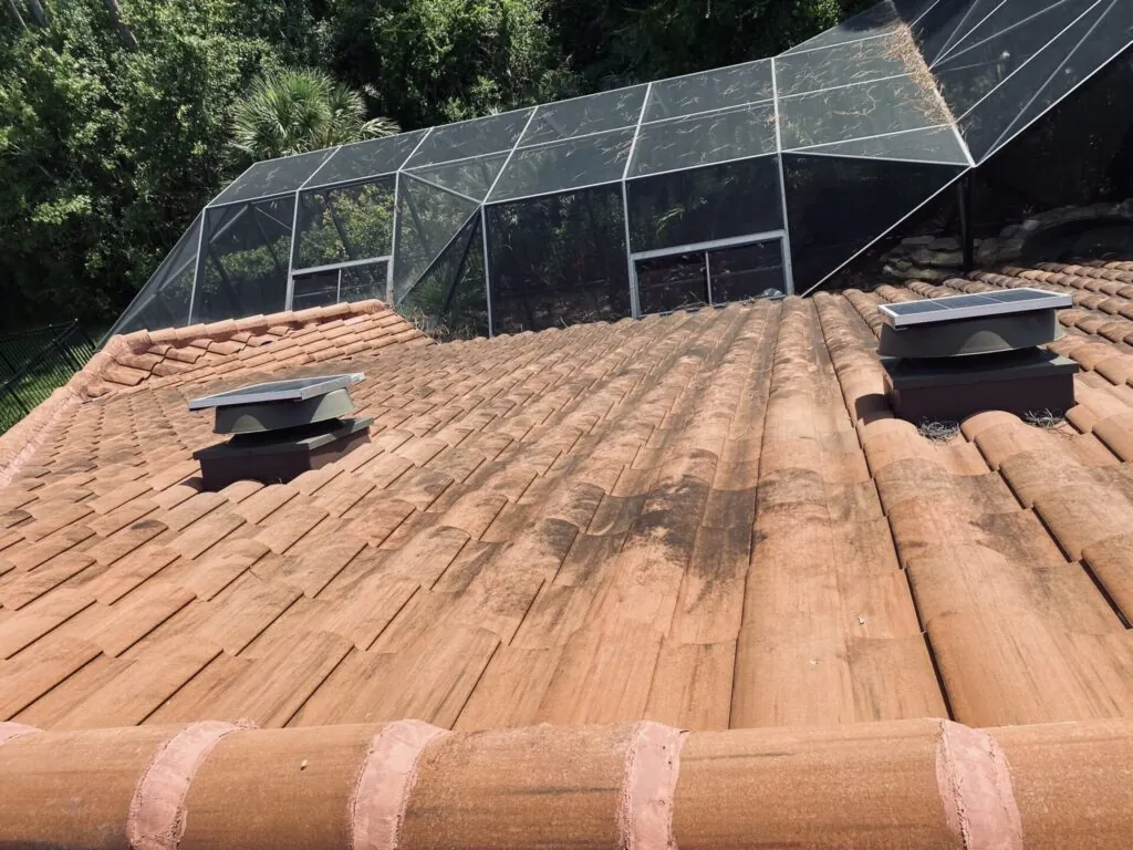 Roof Cleaning project photo 23 by Wash and Go