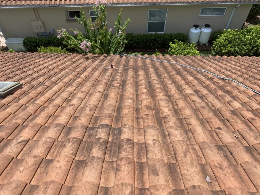 Roof Cleaning project photo 25 by Wash and Go