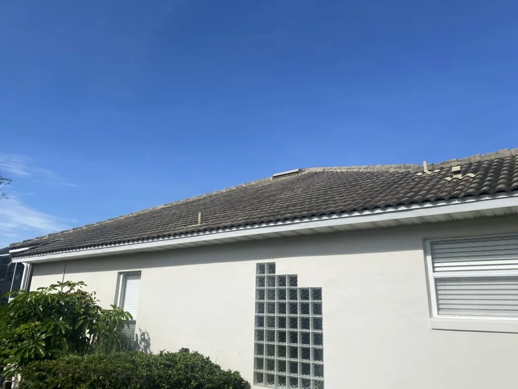 Roof Cleaning project photo 35 by Wash and Go