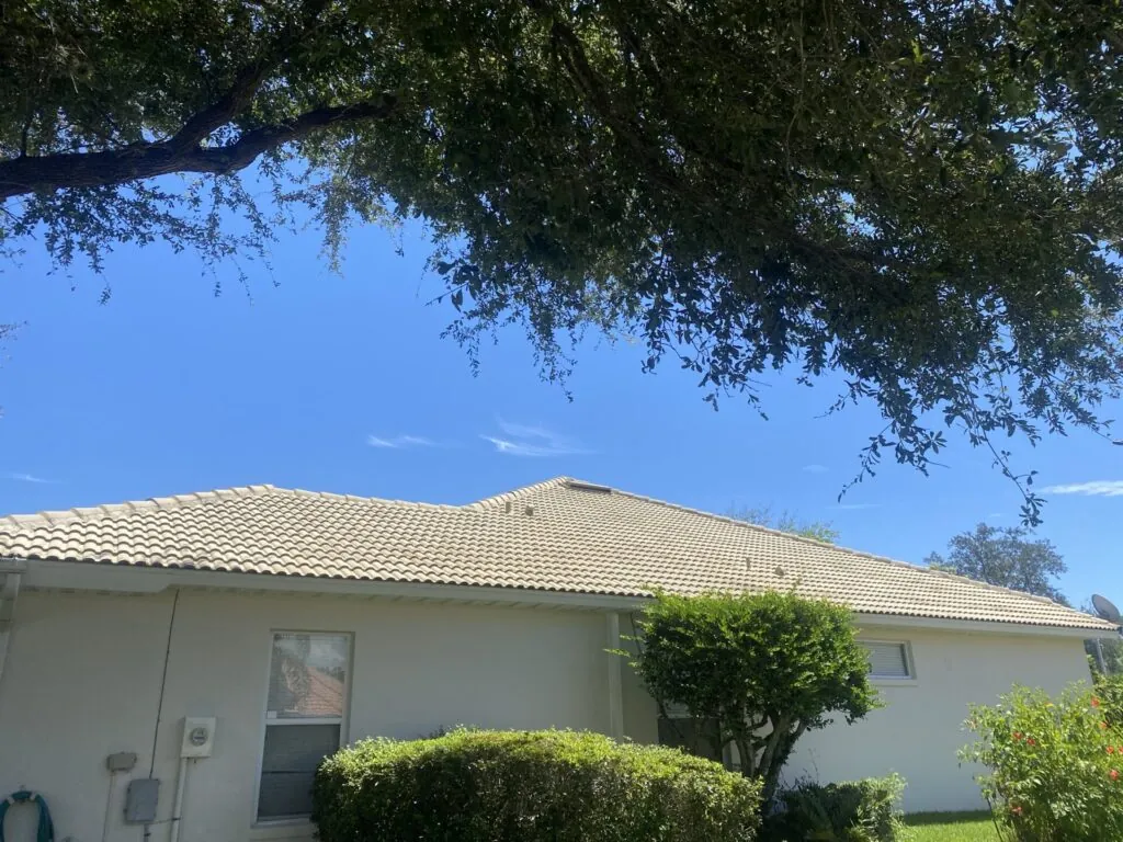Roof Cleaning project photo 38 by Wash and Go