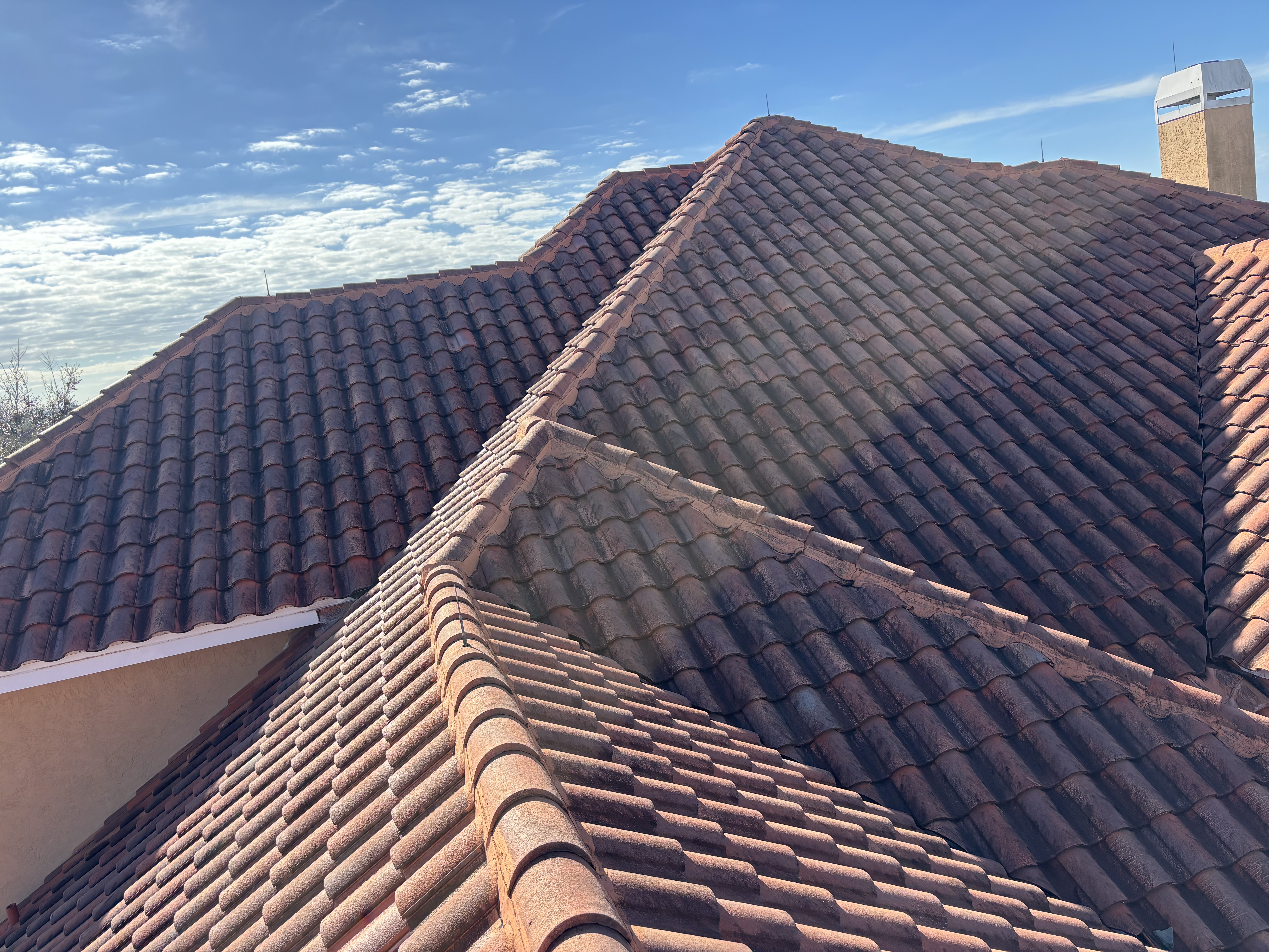 Roof Cleaning project photo 47 by Wash and Go
