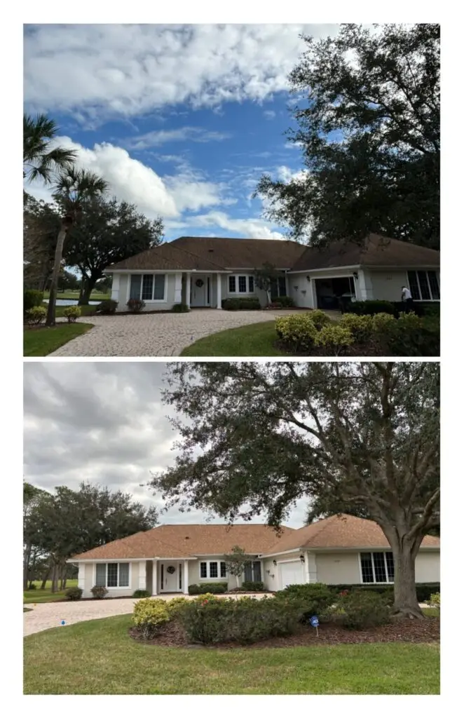 image3 (1)