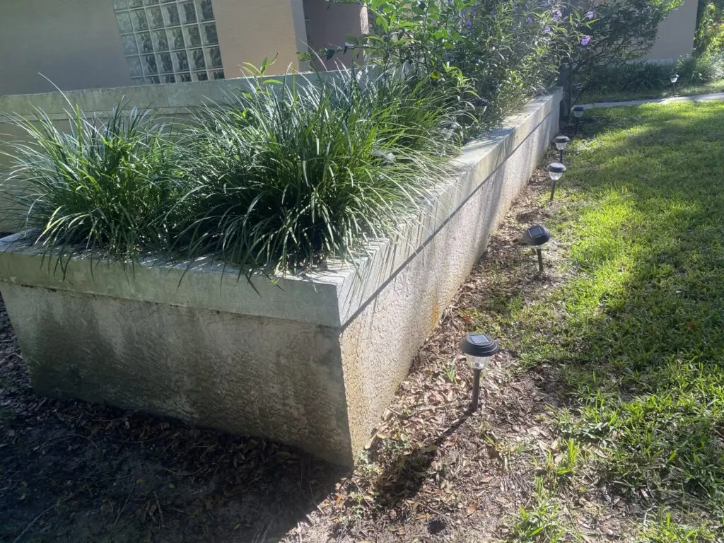 image5 (1)