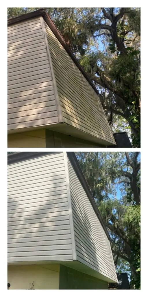 image6 (1)
