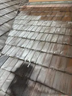 unnamed (6)